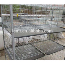 equipo automático avanzado de aves de corral para granja de pollos de engorde